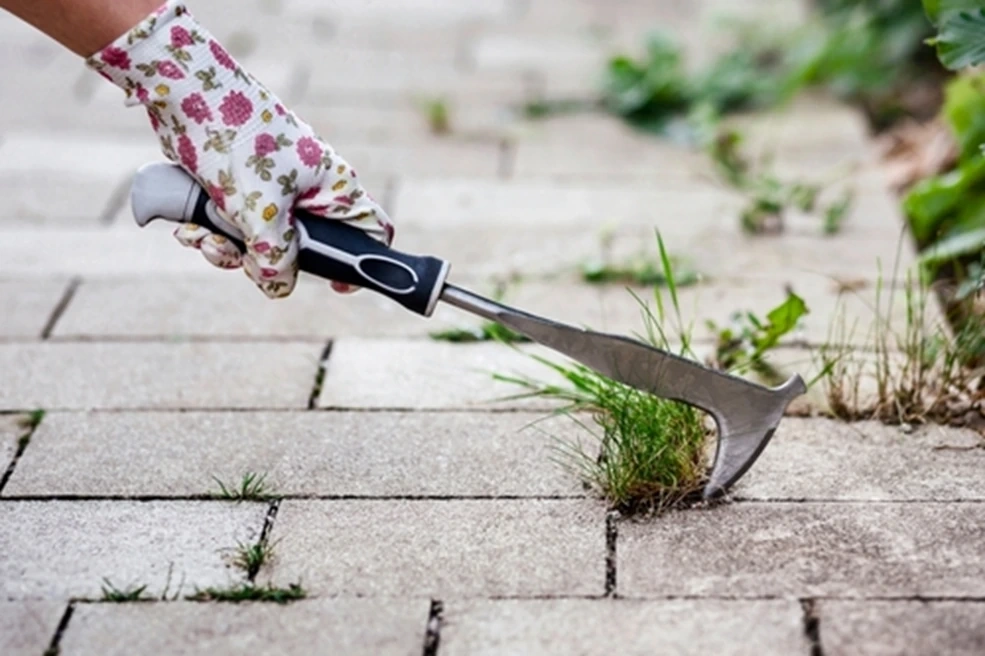 When and How To Tell Your Patio Needs Repointing